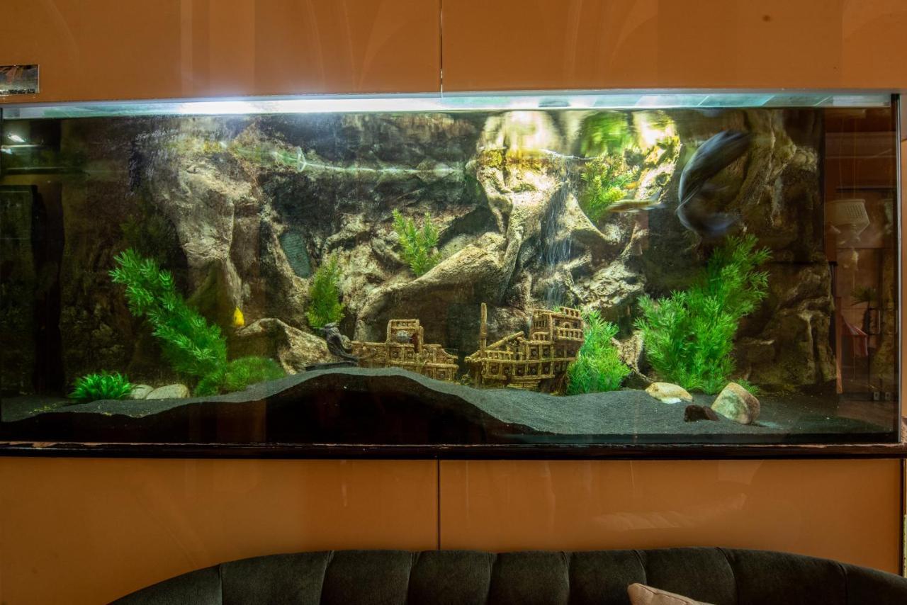 Korona Hotel Nyíregyháza Dış mekan fotoğraf